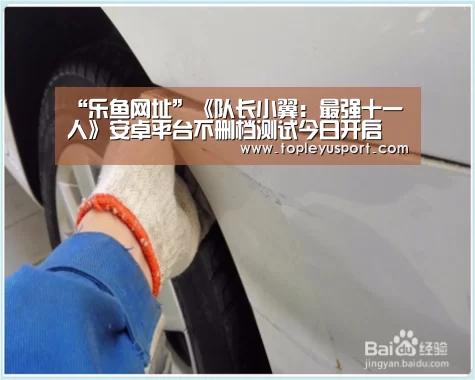 乐鱼入口